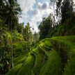 Ubud
